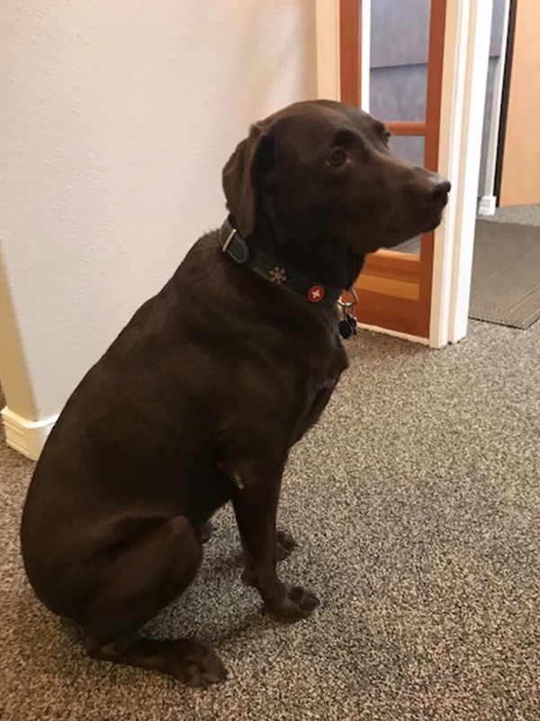 Aspen sitting in the hallway